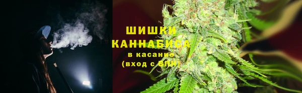сатива Киреевск