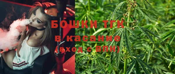 сатива Киреевск