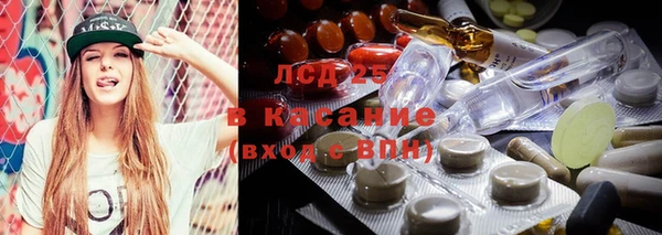 сатива Киреевск