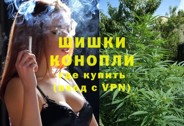 сатива Киреевск